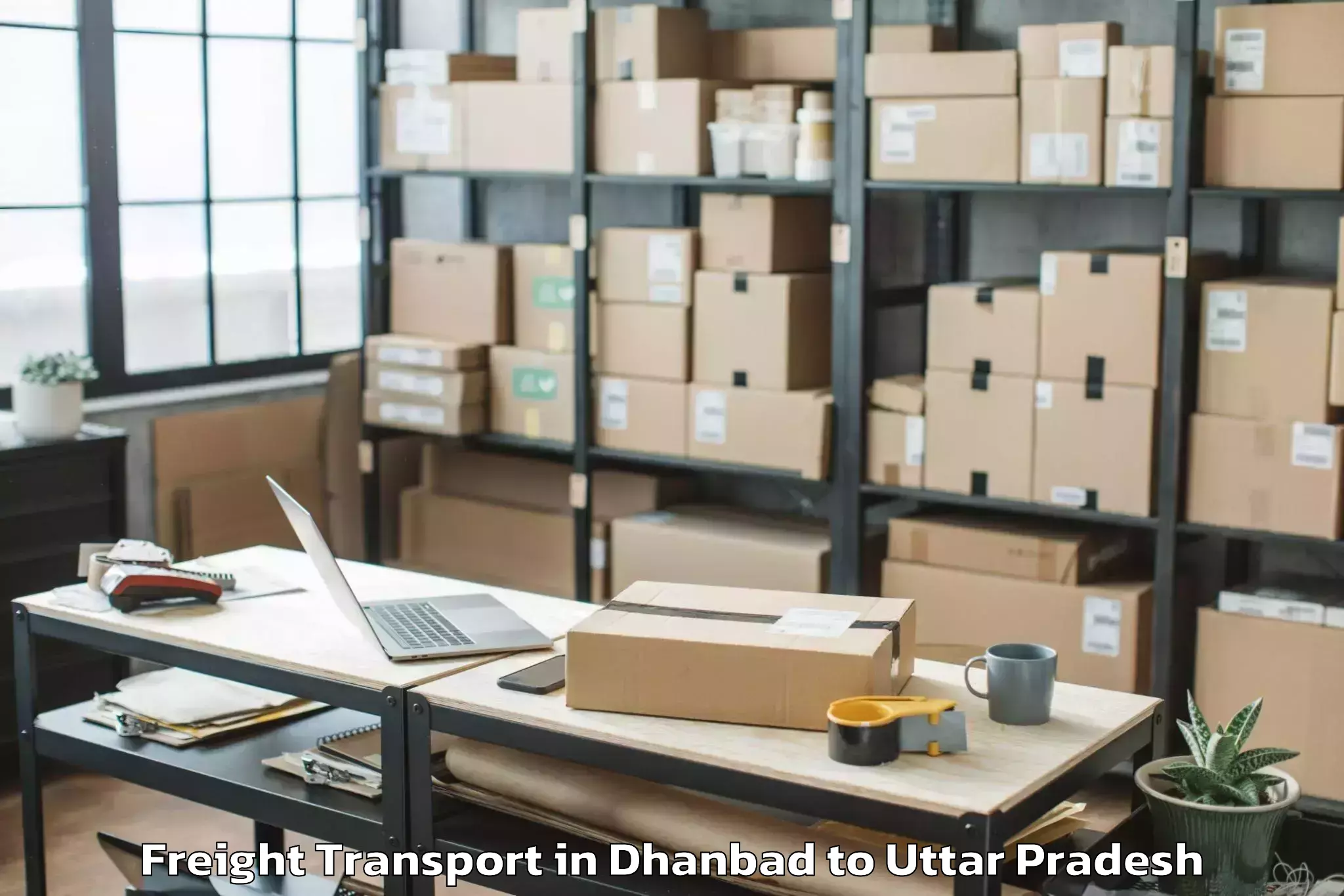 Top Dhanbad to University Of Allahabad Allaha Freight Transport Available